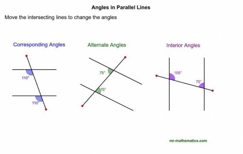 Angles and lines ! Which ARE NOT?