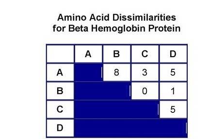 The following data table summarizes the number of differences in amino acid sequences found for four