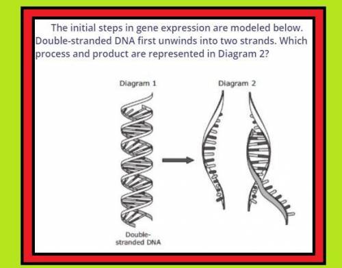 What process and product are represent in diagram 2