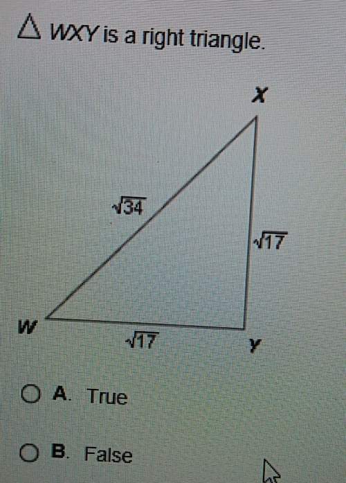 Asap ! triangle wxy is a right triangle.true or false?