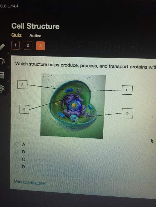 which structure produce, process, and transport proteins within the cell?
