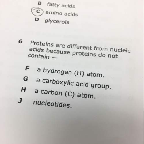 Proteins are different from nucleus acids because?