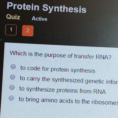 Which is the purpose of transfer rna
