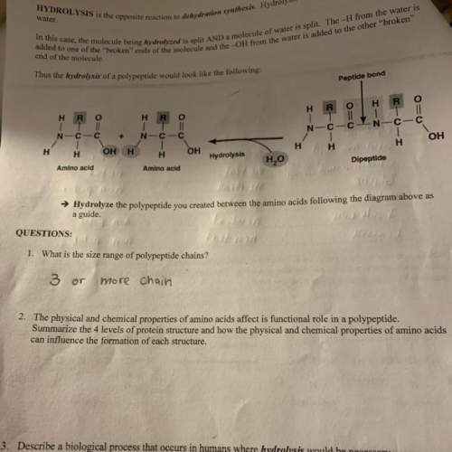 Ineed with question 2 i already know the 4 levels but i don’t understand how the physical and chem
