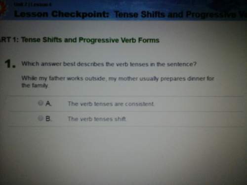 Which answer best describes the verb tenses in the sentence ? while my farther works ou