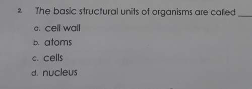 The basic structural units of orgasm are called