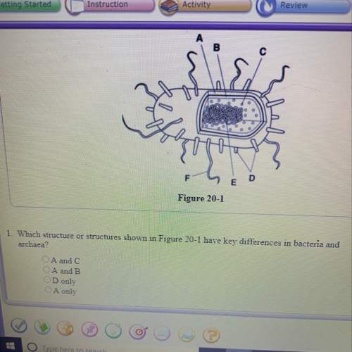 Does anyone know the answer to the question