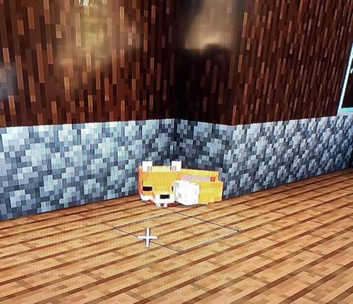 Ijust tamed a fox in minecraft and he's the best! does anyone know any cool things you can do with