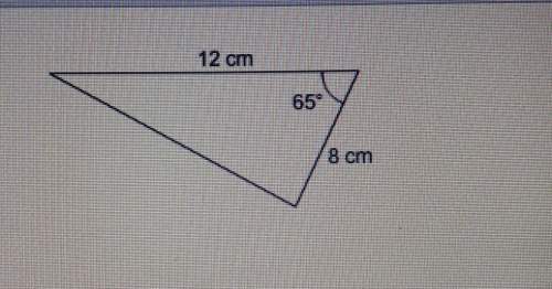 What is the area of this triangle? enter your answer as a decimal in the box. round onl