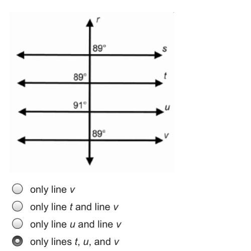 Pls !  which lists all the lines that are parallel to line s?