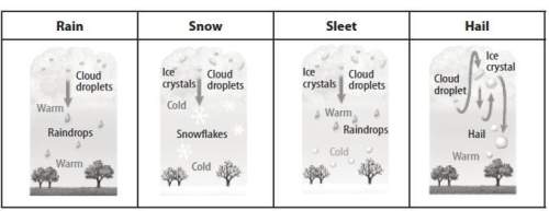 Looking at the image below describe the difference of the four types of precipitation in your own wo