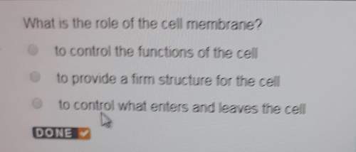 What is the role of the cell membrane?
