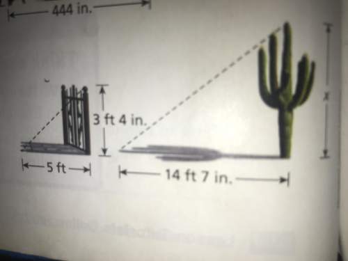 Acactus casts a shadow that is 14 ft 7 in. long. a gate nearby casts a shadow that is 5 ft long. est