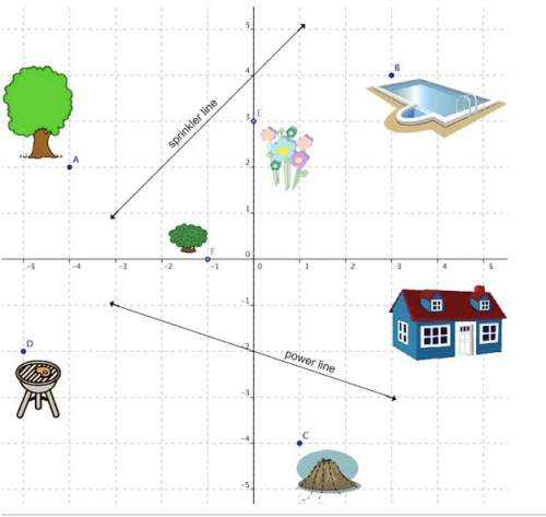 Mee ill give 30 points if you answer it correctly what are the coordinates tree (a)?