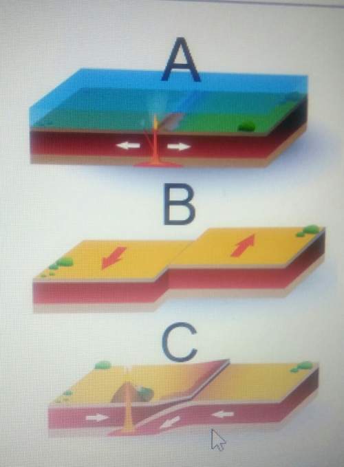 Which picture demonstrates a divergent plate boundary. a b c none of above