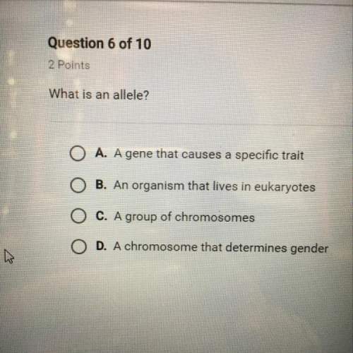 What is an allele? i need the answer asap