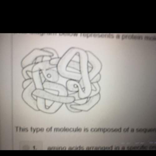 This type of molecule is composed of a sequence of 1. amino acids arranged in a specific