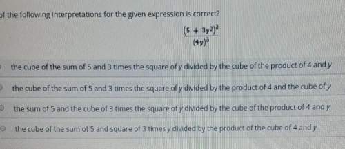 Which of the following interpretations for the given expression is correct
