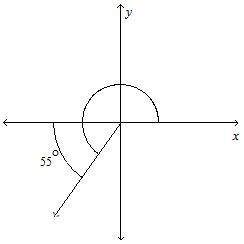 What is the measure of the angle? a. 210° b. 235 c. 180° d. 125°