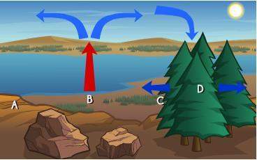 Asap which letter indicates a region of low pressure in the diagram below?  a. a