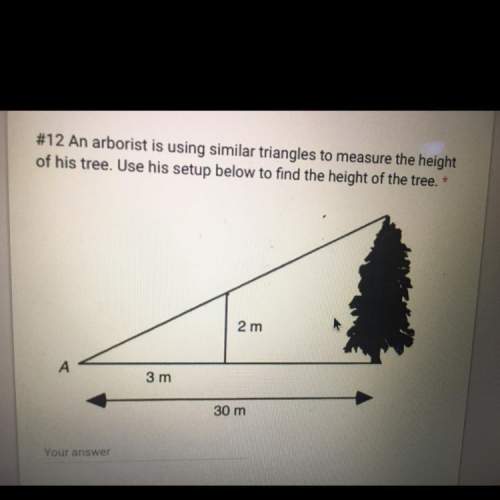 An arborist is using similar triangles to measure the height of his tree. use his setup below to fin