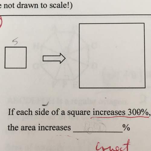 How do i solve this? ?  what would the answer be? ?  !