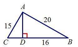 The perimeter of triangle abc is a. 51 b. 55 c. 60 d. 68