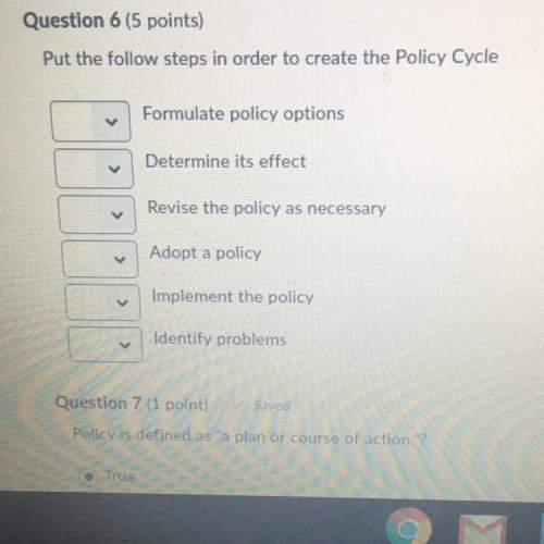 What are the 6 steps in the policy cycle in order
