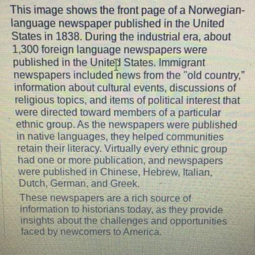 According to the text, what was the purpose of immigrant newspapers?  check all that ap