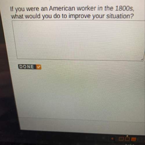 If you were an american worker in the 1800s, what would you do to improve your situation