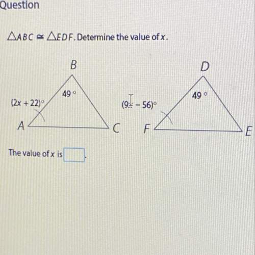 Ineed to know what the value of x is