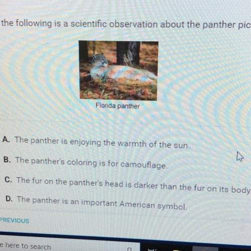 Which of the following is a scientific observation about the panther pictured below?