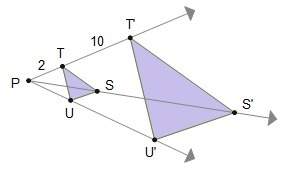 Which statements justify that the dilation of triangle stu is an enlargement increasing its size by