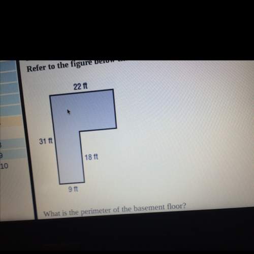 What is the perimeter of the object