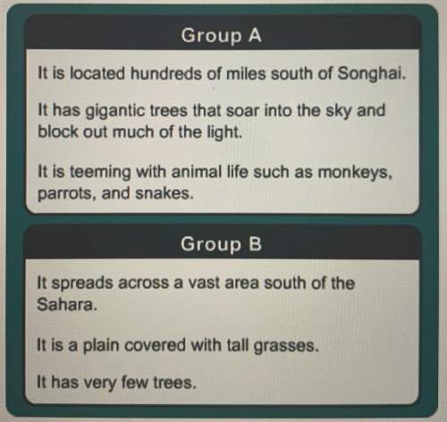 Which group of statements best describes the rain forest?  • group a  • grou