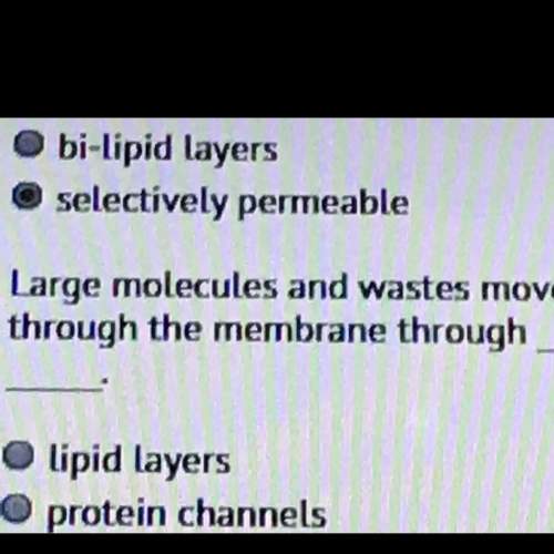 Large molecules and waste move through the membrane through?