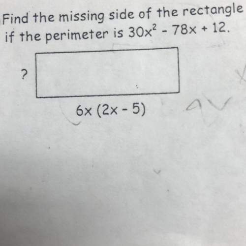 Find the missing side of the rectangle if the perimeter ?