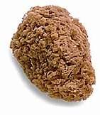 Last question will give brainliest to correct answer sponges, like the one pictured, dem