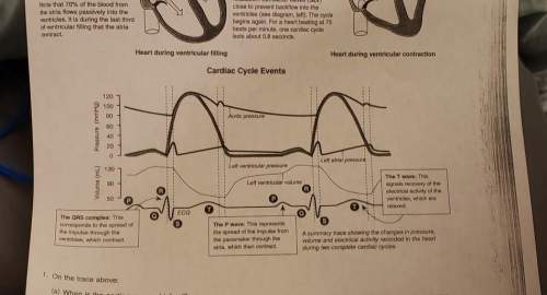 1. on the trace abovea)when is the aortic pressure highest? b) which electrical event i