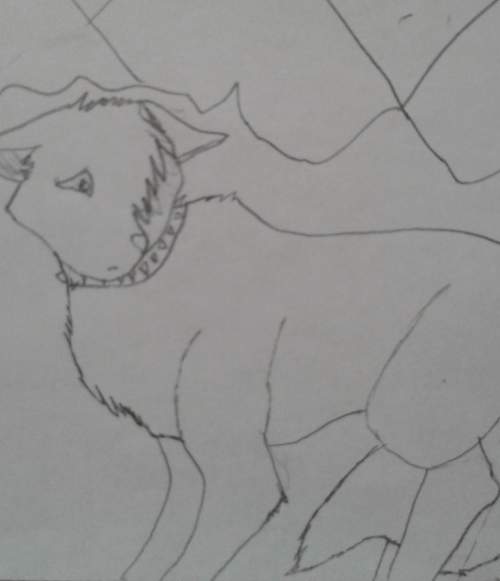 What do you think of my drawing it's part of a wolf series i'm makingno hate comme