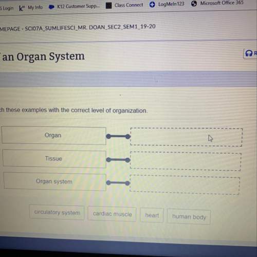Match these examples with the correct level of organization organ tissue organ sys