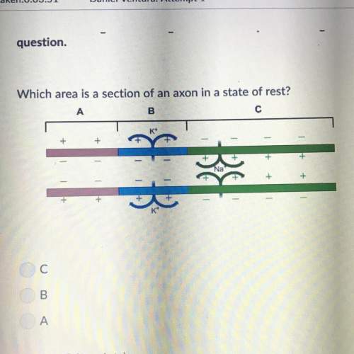 Which area is a section of an axon in a state of rest?