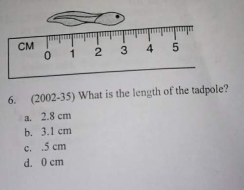 What is a length of a tadpole someone me out