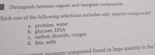 Which one of the following selections includes only organic compounds