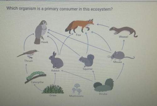 Which organism is a primary consumer in this ecosystem? a - caterpillarb - weaselc
