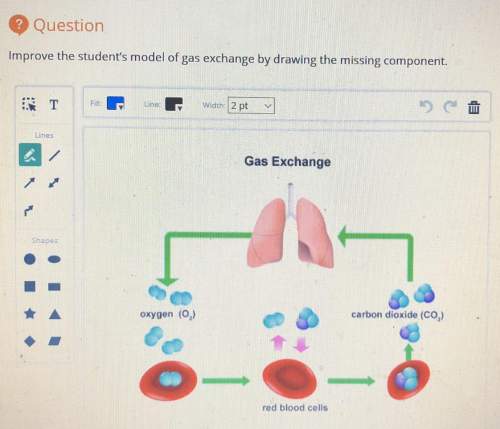 Improve the student’s model of gas exchange by drawing the missing component.