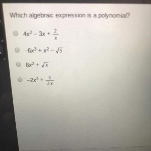 Which algebraic expression is a polynomial?