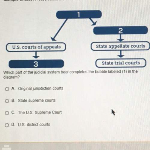 Which part of the judicial system best completes the bubble labeled (1) in the diagram