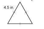 What is the perimeter of the triangle?  a: 4.5 inches b: 13.5 inches c: 9