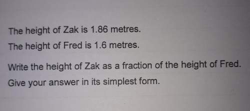 Write the height of zak as a fraction of the height of fred